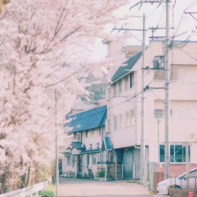 焚天仙域手游下载